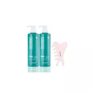 소이민트 지루성두피 스케일링 비듬샴푸 시트러스, 490ml, 2개