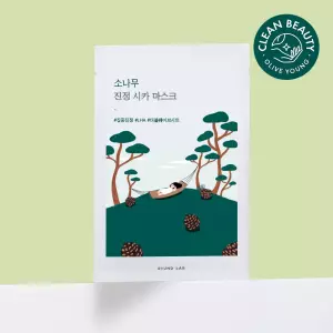 긴급진정 소나무 진정 시카 마스크