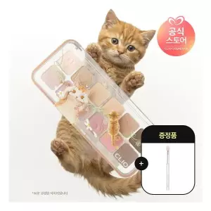 프로 아이 팔레트 에어 증정 프로아이섀도우브러쉬